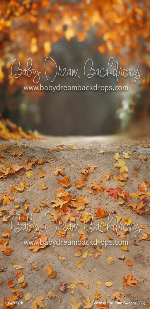 Sense of Fall Path Sweeps (CC)