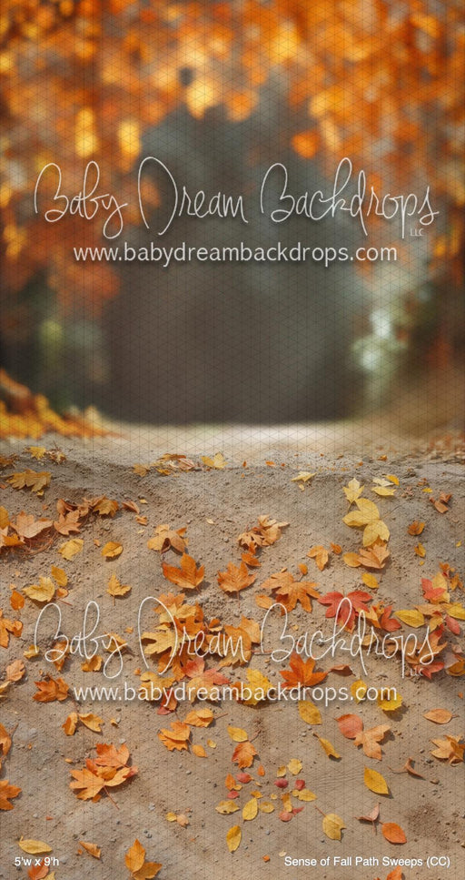 Sense of Fall Path Sweeps (CC)