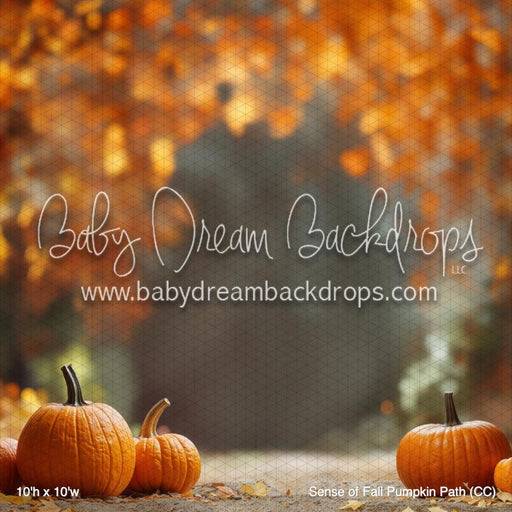 Sense of Fall Pumpkin Path (CC)