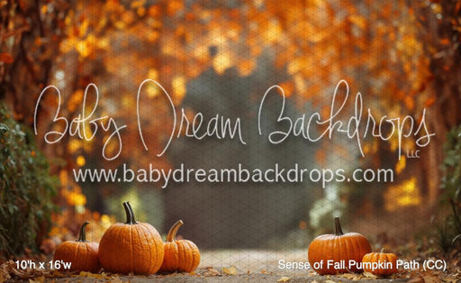 Sense of Fall Pumpkin Path (CC)