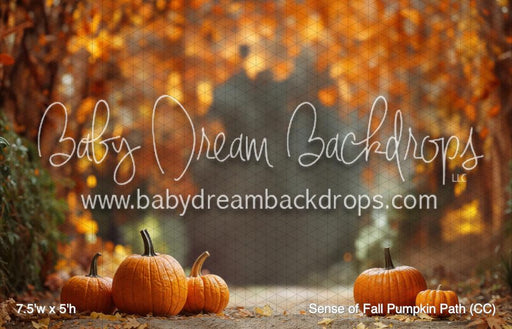 Sense of Fall Pumpkin Path (CC)