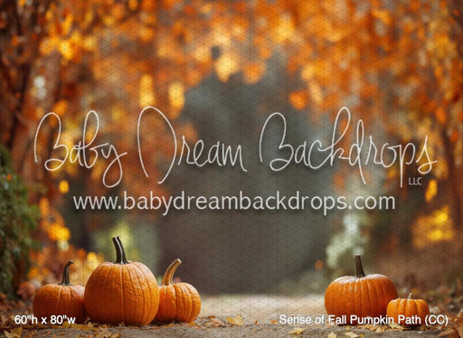 Sense of Fall Pumpkin Path (CC)