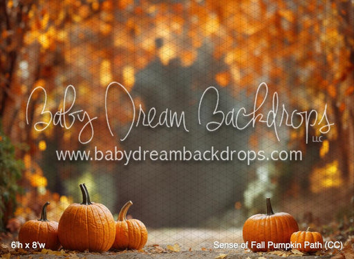 Sense of Fall Pumpkin Path (CC)