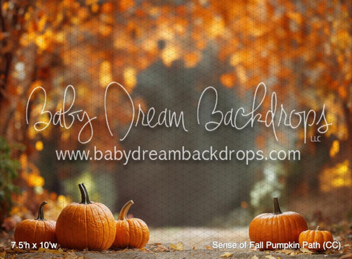 Sense of Fall Pumpkin Path (CC)