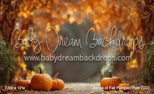 Sense of Fall Pumpkin Path (CC)