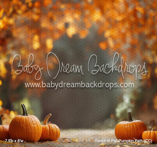 Sense of Fall Pumpkin Path (CC)