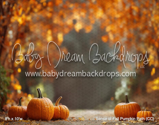 Sense of Fall Pumpkin Path (CC)
