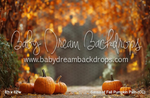 Sense of Fall Pumpkin Path (CC)