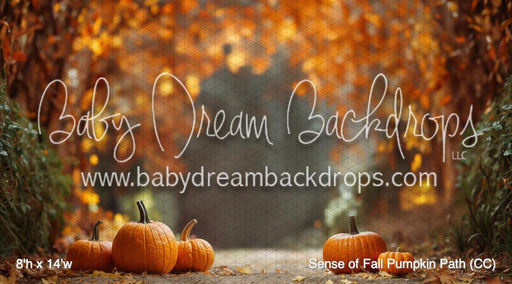 Sense of Fall Pumpkin Path (CC)