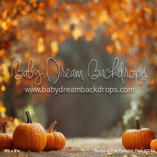 X Drop Sense of Fall Pumpkin Path (CC)