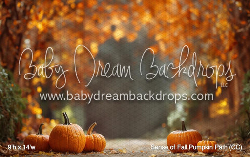 Sense of Fall Pumpkin Path (CC)