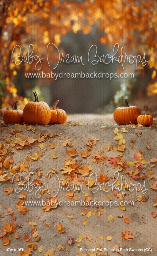 Sense of Fall Pumpkin Path Sweeps (CC)