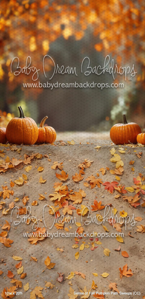 Sense of Fall Pumpkin Path Sweeps (CC)