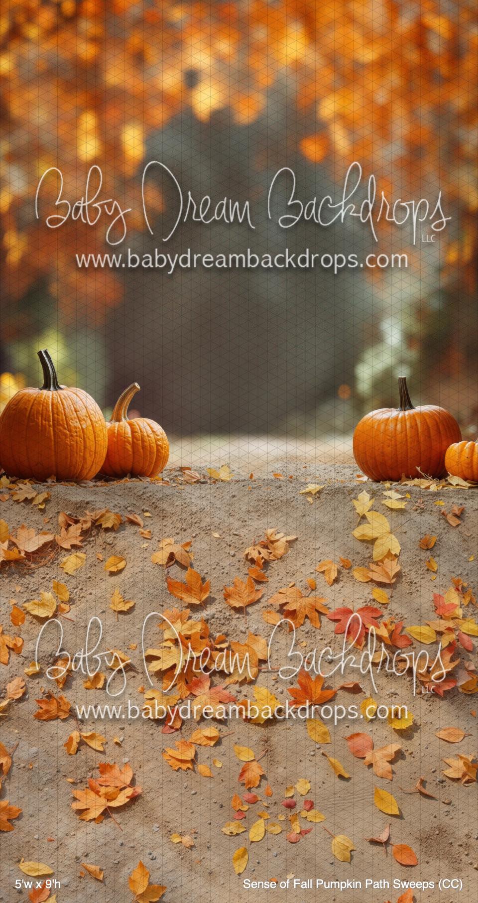 Sense of Fall Pumpkin Path Sweeps (CC) — Baby Dream Backdrops