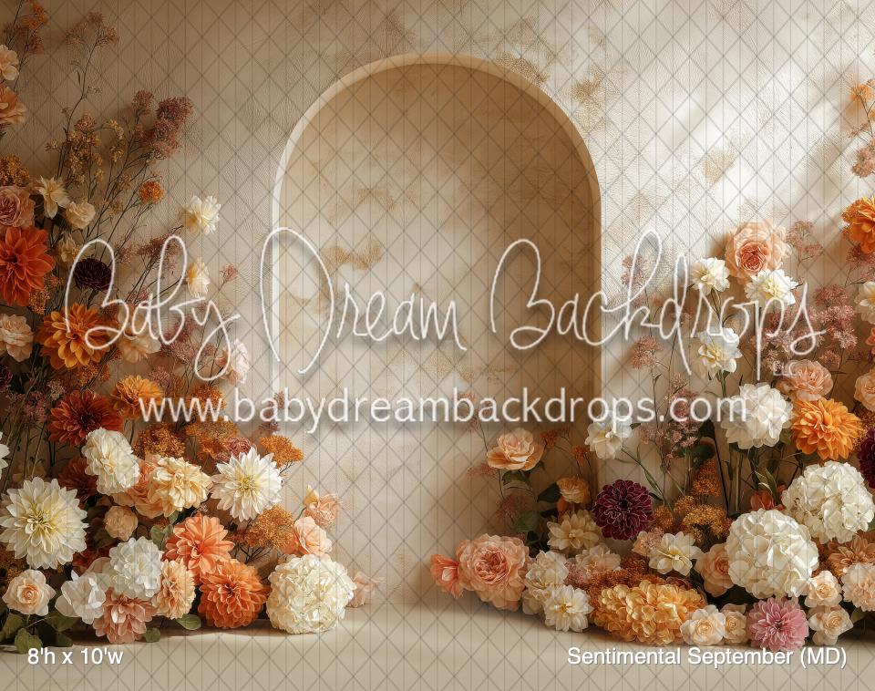 Sentimental September (MD) — Baby Dream Backdrops