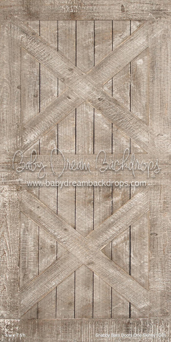 Shabby Barn Doors One Skinny (CC)