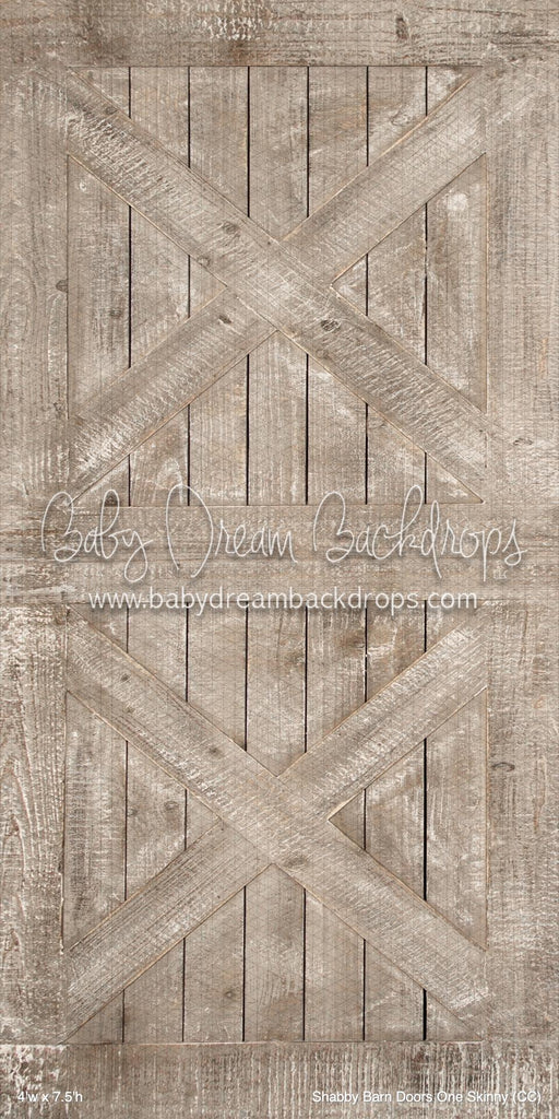 Shabby Barn Doors One Skinny (CC)