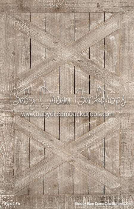 Shabby Barn Doors One Skinny (CC)
