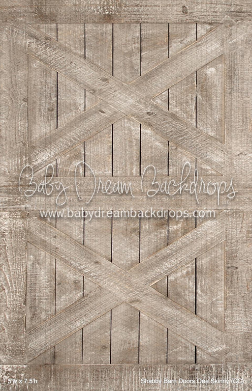Shabby Barn Doors One Skinny (CC)
