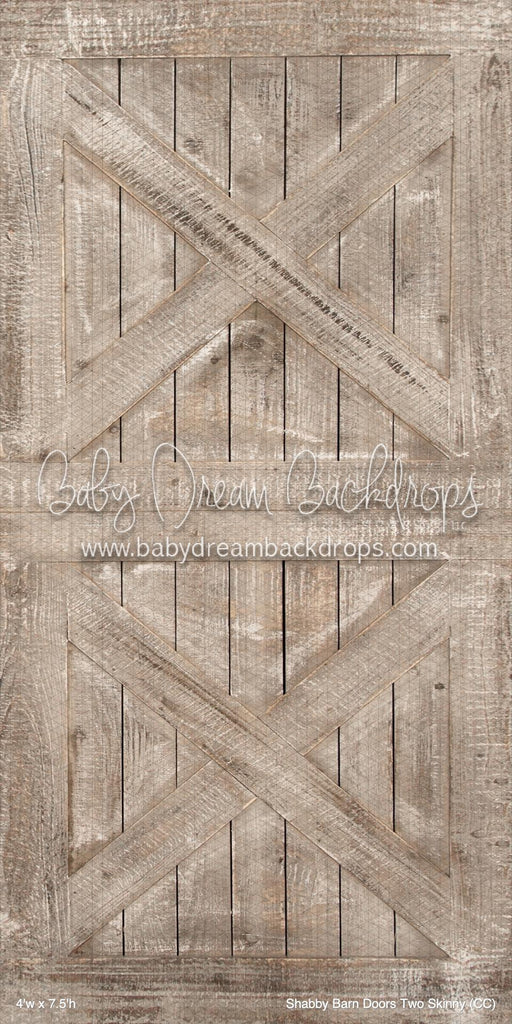 Shabby Barn Doors Two Skinny (CC)
