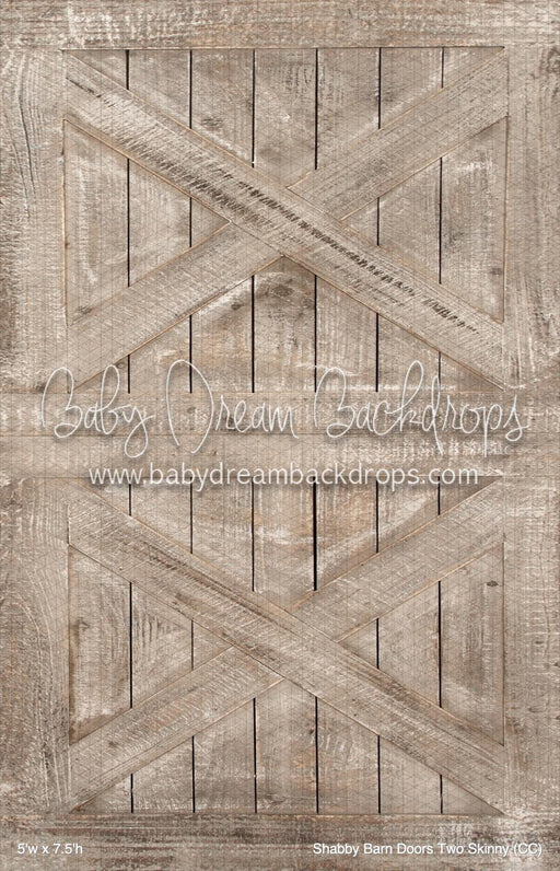 Shabby Barn Doors Two Skinny (CC)
