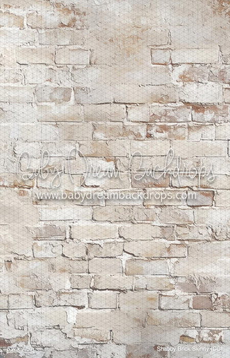 Shabby Brick Skinny (CC)