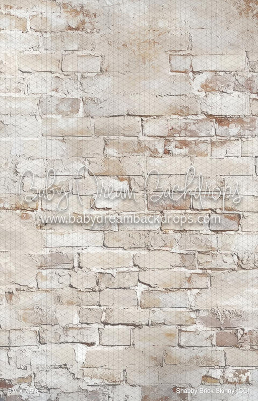 Shabby Brick Skinny (CC)