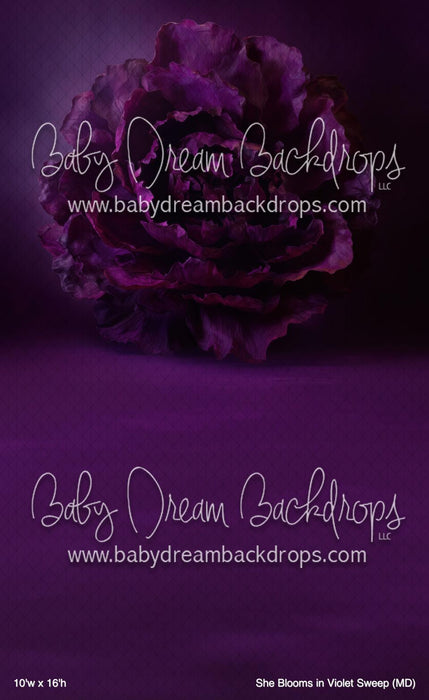 She Blooms in Violet Sweep (MD)