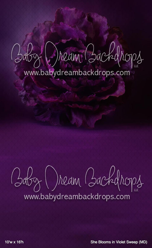 She Blooms in Violet Sweep (MD)