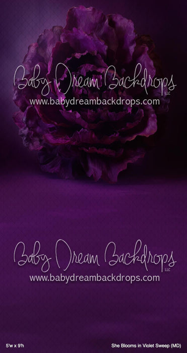 She Blooms in Violet Sweep (MD)