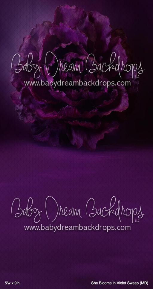 She Blooms in Violet Sweep (MD)