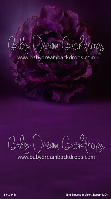 She Blooms in Violet Sweep (MD)