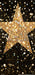 Shimmer Glamour Gold Star Skinny (CC)
