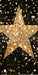 Shimmer Glamour Gold Star Skinny (CC)