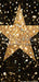 Shimmer Glamour Gold Star Skinny (CC)
