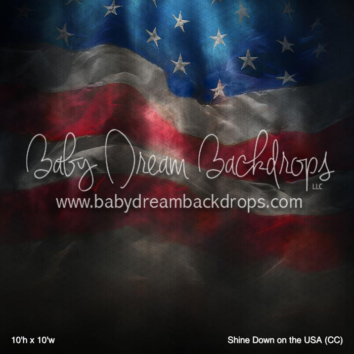 Shine Down on the USA (CC)