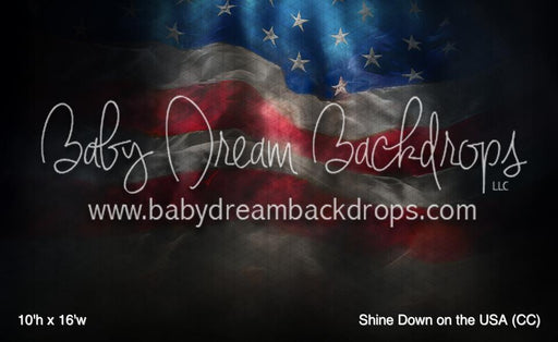 Shine Down on the USA (CC)