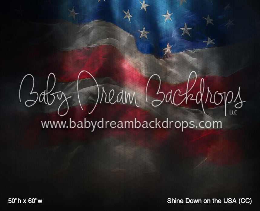 Shine Down on the USA (CC)