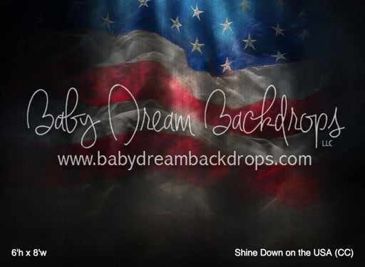 Shine Down on the USA (CC)