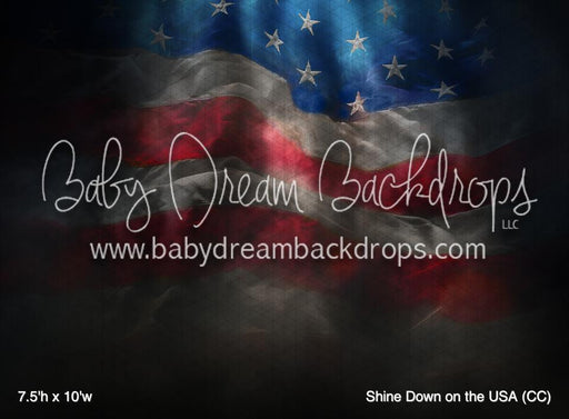 Shine Down on the USA (CC)