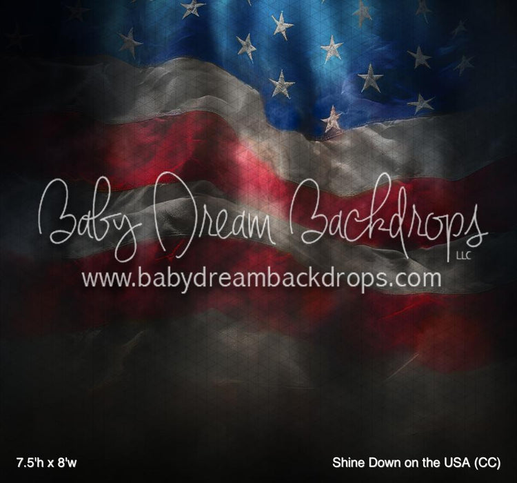 Shine Down on the USA (CC)