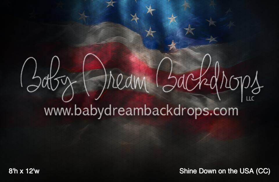 Shine Down on the USA (CC)