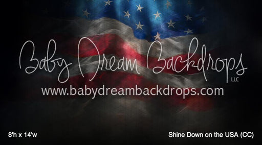 Shine Down on the USA (CC)