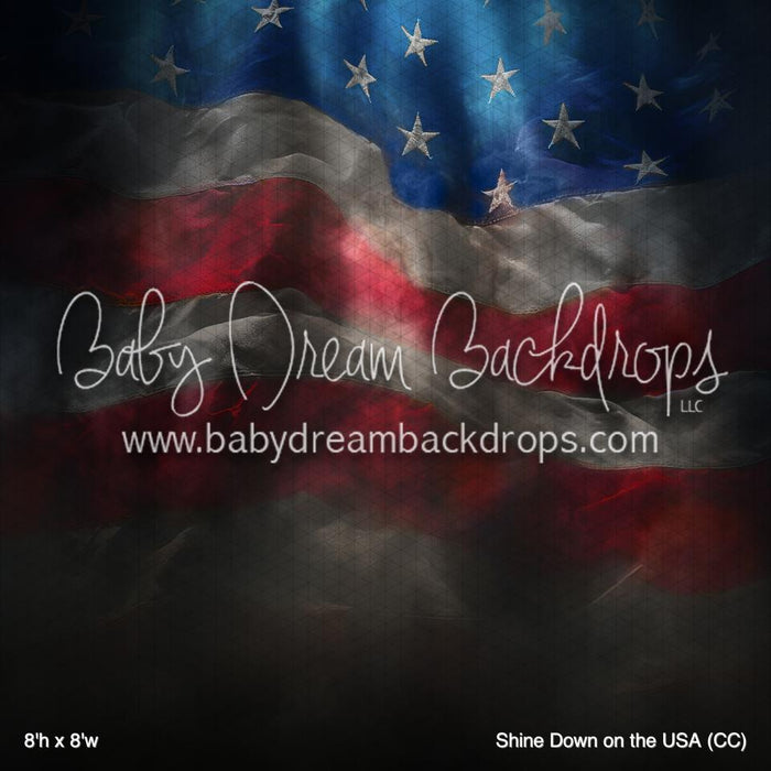 Shine Down on the USA (CC)