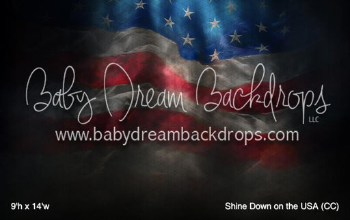 Shine Down on the USA (CC)