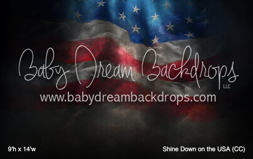 Shine Down on the USA (CC)