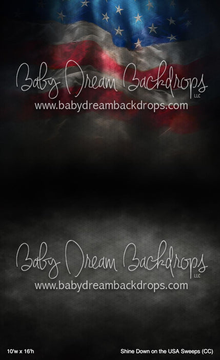 Shine Down on the USA Sweeps (CC)