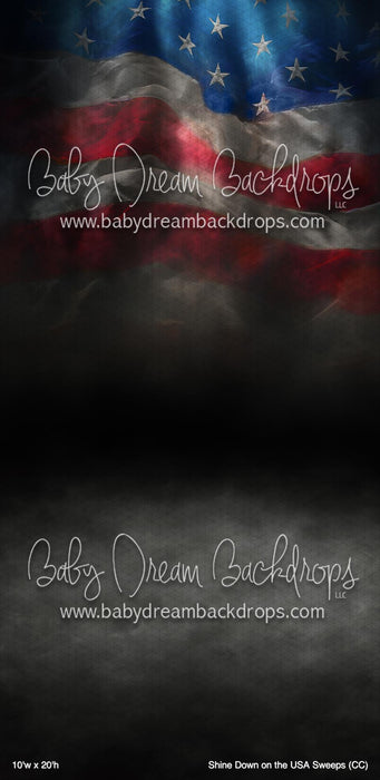 Shine Down on the USA Sweeps (CC)