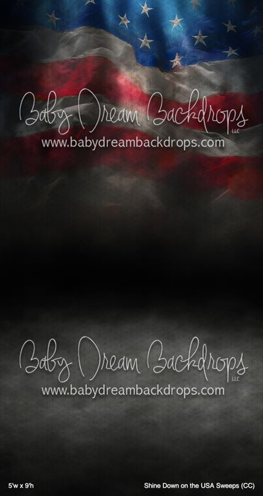 Shine Down on the USA Sweeps (CC)