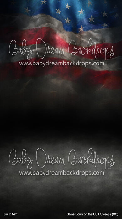 Shine Down on the USA Sweeps (CC)
